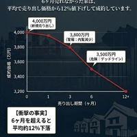 画像287