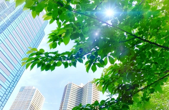 【鶴ヶ島市の不動産売却なら】事故物件も価値に変える！鶴ヶ島市の不動産知識を得て、安心の相続を実現しましょう