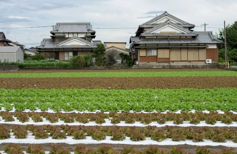 【川越市の方必見！】川越市での不動産売却、重要事項説明をマスターしよう！|不動産売却なら株式会社カラーズハウス